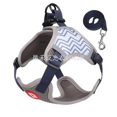 Peegeldav koera rinnarihm