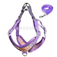 Turvaline helkurrihm koer